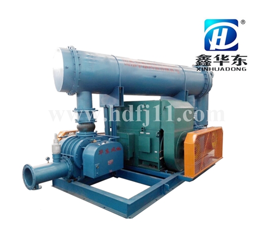 HTRF-300型雙級串聯(lián)羅茨風機