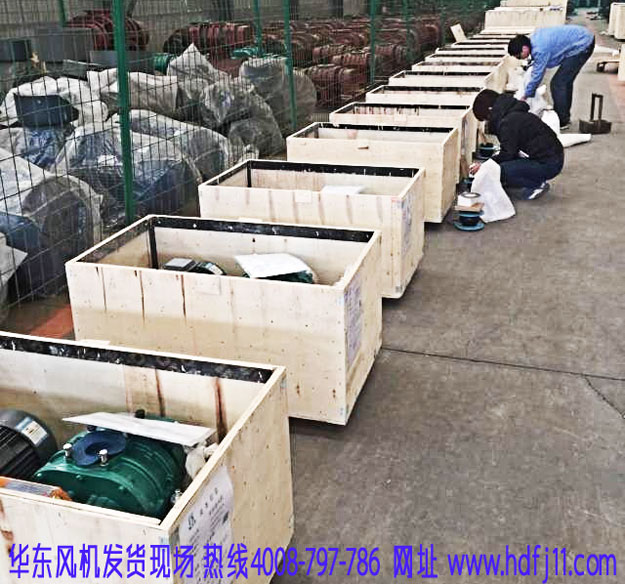 羅茨風(fēng)機(jī)發(fā)貨現(xiàn)場.jpg 羅茨風(fēng)機(jī)發(fā)貨現(xiàn)場.jpg