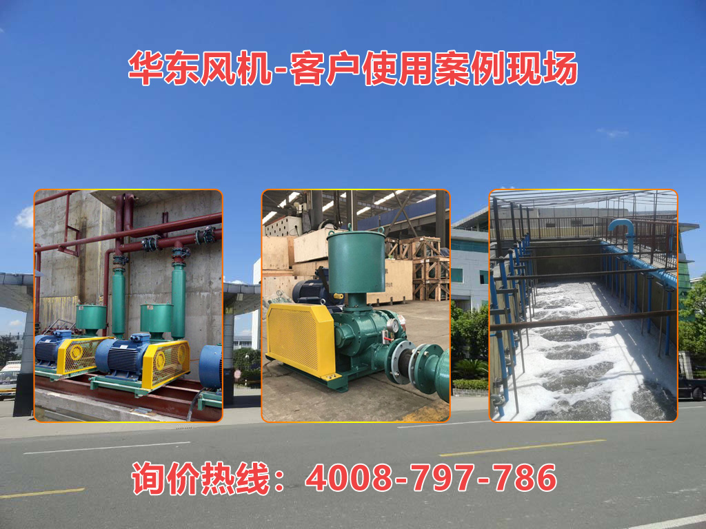 羅茨風(fēng)機(jī) 羅茨風(fēng)機(jī)