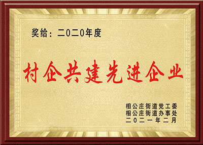 華東榮譽-村企共建先進(jìn)企業(yè)