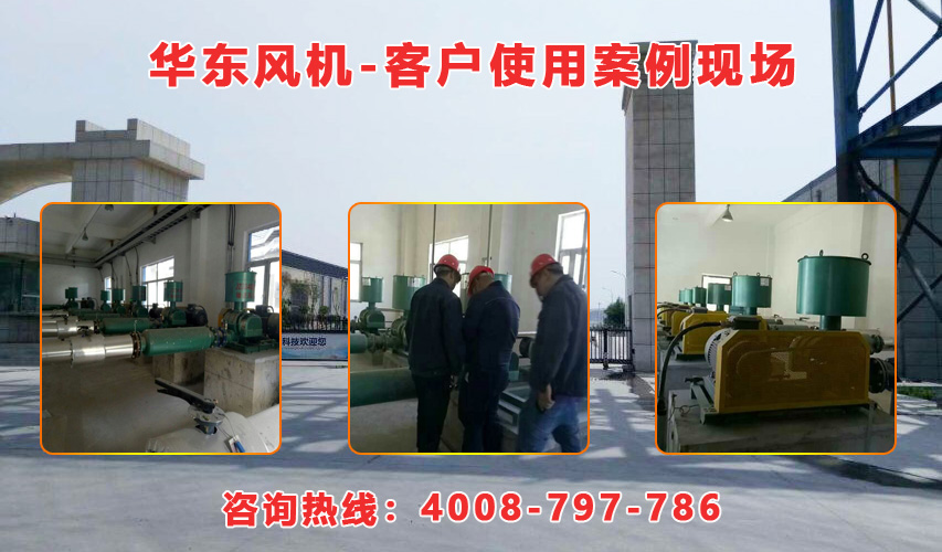 華東內(nèi)蒙古羅茨風(fēng)機(jī)案例-內(nèi)蒙古**生物環(huán)?？萍加邢挢?zé)任公司