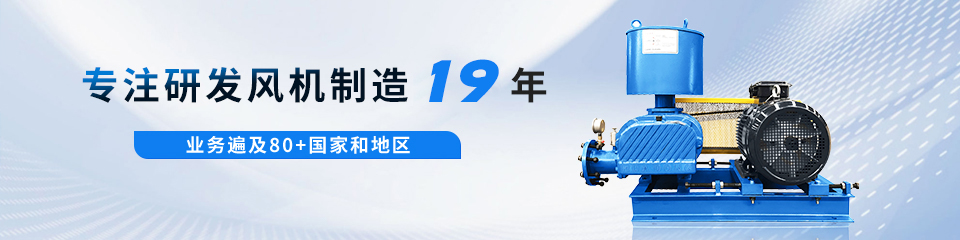 羅茨風(fēng)機